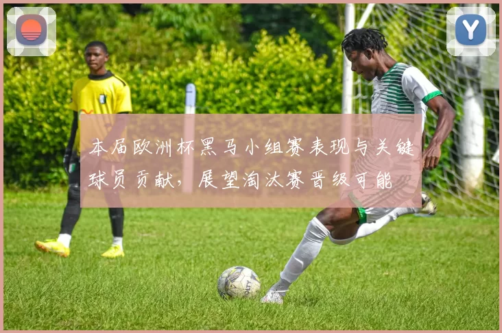 本届欧洲杯黑马小组赛表现与关键球员贡献，展望淘汰赛晋级可能