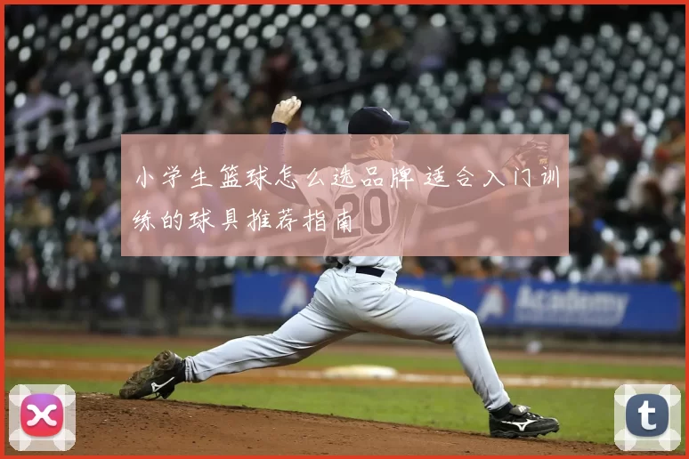 小学生篮球怎么选品牌 适合入门训练的球具推荐指南