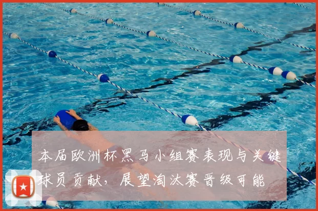 本届欧洲杯黑马小组赛表现与关键球员贡献，展望淘汰赛晋级可能