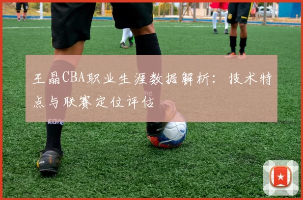王晶CBA职业生涯数据解析：技术特点与联赛定位评估