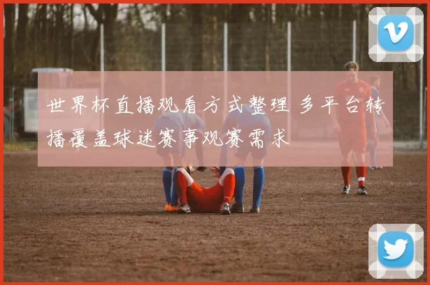 世界杯直播观看方式整理 多平台转播覆盖球迷赛事观赛需求