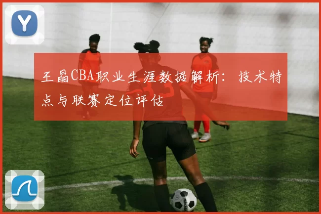 王晶CBA职业生涯数据解析：技术特点与联赛定位评估