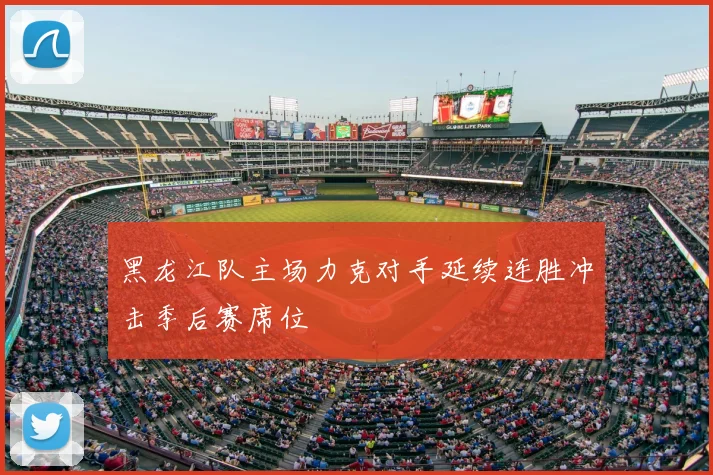 黑龙江队主场力克对手延续连胜冲击季后赛席位