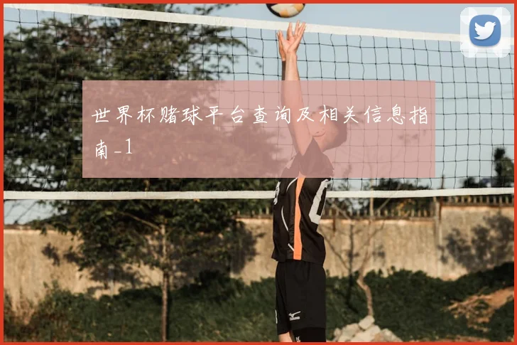 世界杯赌球平台查询及相关信息指南_1
