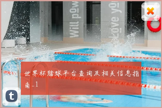 世界杯赌球平台查询及相关信息指南_1