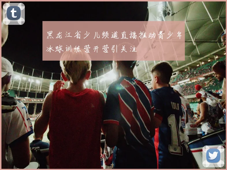 黑龙江省少儿频道直播推动青少年冰球训练营开营引关注